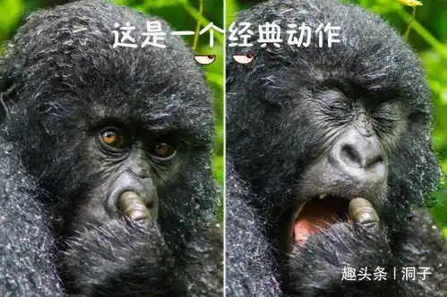 搞笑动态趣图gif表情告诉我他很满足