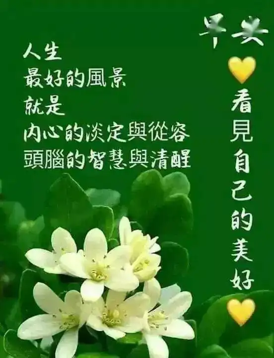 中老年表情包,清晨的问候,致我最牵挂的人