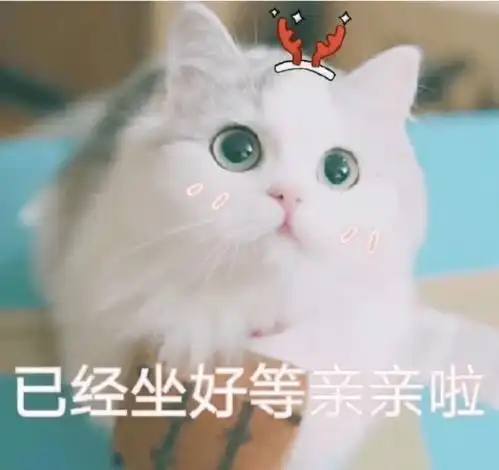 第72期喵表情水果摊阿姨都承认你甜过初恋
