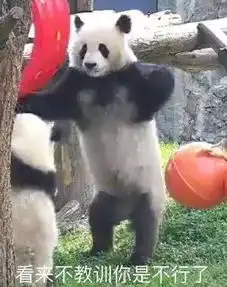 开心一刻外卖把我的账号封了,因为我一天吃五顿