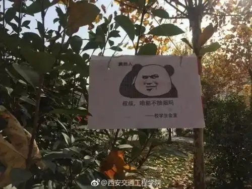 高校禁烟表情包走红,网友留言吓得我把烟都掐了