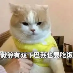 你们快斗图,不然我就失业了