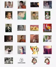表情包越多的女生,越容易单身