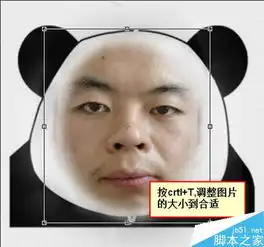 如何在ps中将照片做成搞笑的qq表情