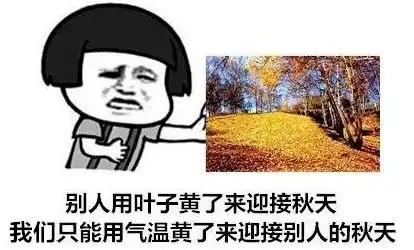 福州天气有变新强台风正逼近闽粤沿海