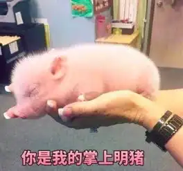 这年头,没点才艺都不敢当爹了爸爸
