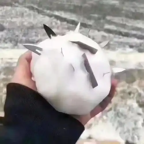 搞笑图片喵星人和汪星人合拍,喵星人的表情亮了
