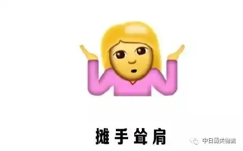 日本东京羽田机场抓到假人肉代购,玩三天再背假货回国卖掉