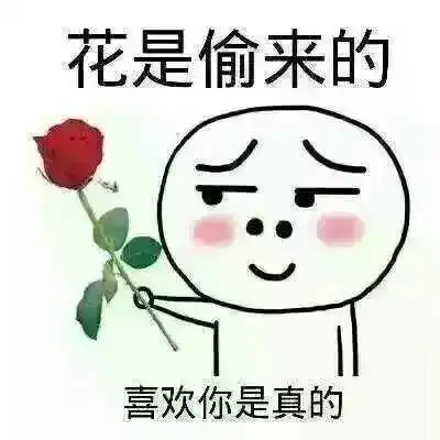 黑小马评析厂家自送有得救京东duang延长续签日期是在说明什么