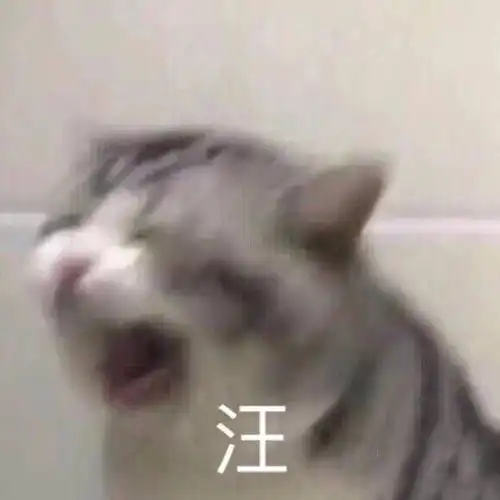 毕业季迷茫师姐有话说希望学弟学妹们少走点弯路,哇