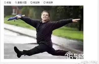 莱昂纳多开微博打招呼,感觉下一条是goodbye,china