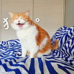 小孩带字表情包