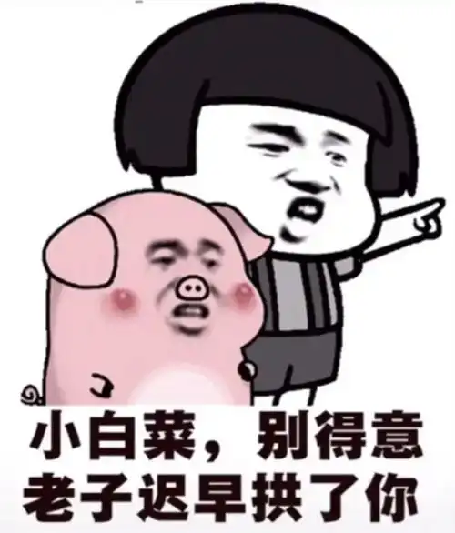 表情包达人鸭可以把你男朋友让给我吗