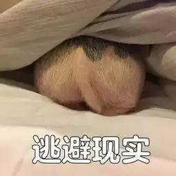 搞笑表情每日吸猪表情包