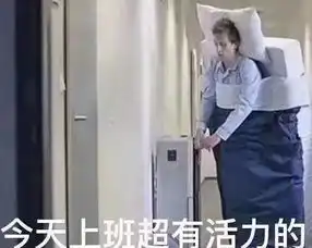 李楠评价小米mixalpha19999售价不赚钱