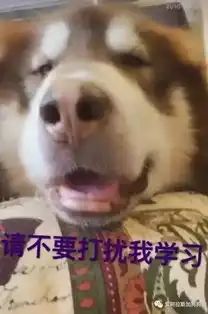 阿拉斯加表情包,阿拉粉斗图必备