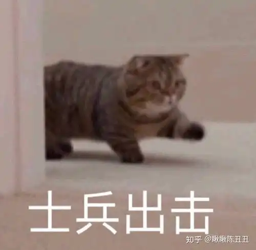 两个女生谈恋爱会有多甜