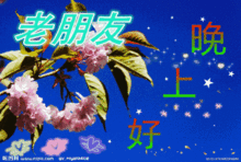 微信群发晚上好问候动画表情包晚安问候语温馨一句话