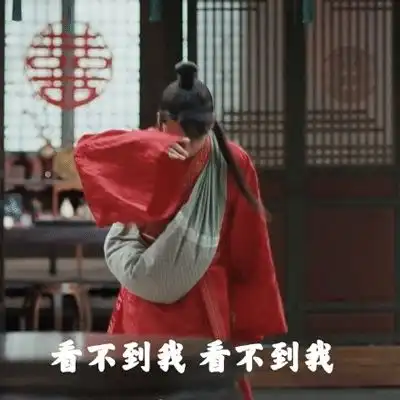 赘婿搞笑表情包,太好玩了
