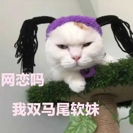 猫咪表情包我等的喵在多远的未来养猫