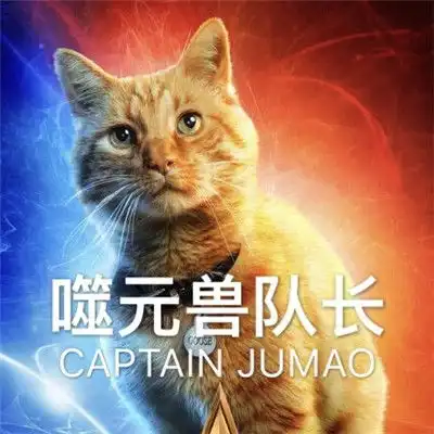 惊奇队长噬元兽表情包带字惊奇队长橘猫噬元兽表情包图片无水印