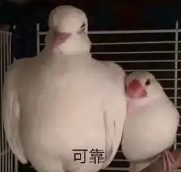 超级搞笑表情请选择以下的扶贫方式,您将会获得一个可爱的小宝贝