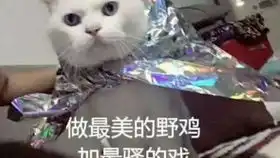 糊阴阳师08.06爬搭摸鱼打法