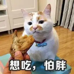 发表情表情包大全微信表情包qq表情包fabiaoqing.com