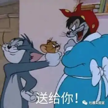 测试一个超长简介的文章