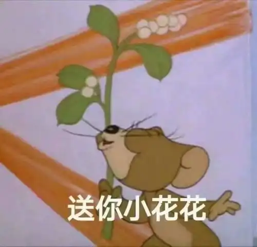 今日份搞笑表情包分享,钱也没有,对象也没有,这该死的生活花花