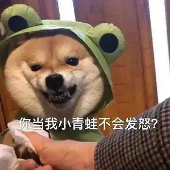 第46期汪表情我上辈子是造了什么孽,遇上你这个沙雕