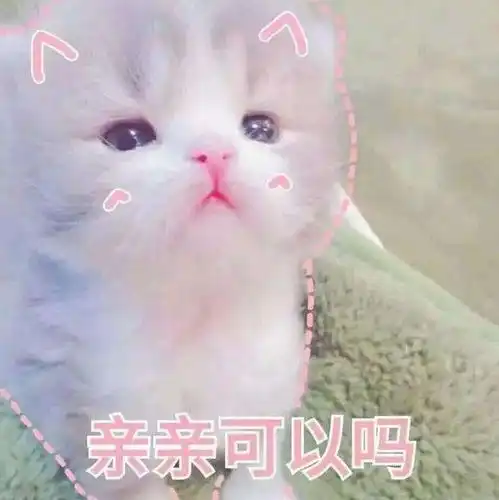 幽默笑话,骑电瓶车接女儿放学,回来的路上下雨了