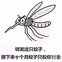 自打入夏以来,独得蚊子恩宠,我劝蚊子一定要雨露均沾