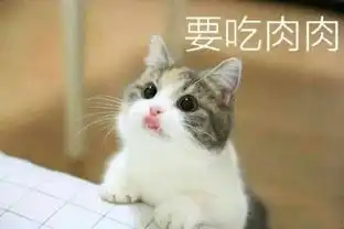 超萌表情包图片大全