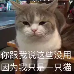 湫蜀黍在熬粥天天赶ddl的微博微博
