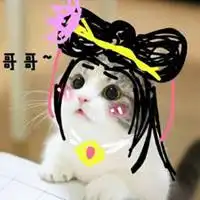 猫咪表情包头像搞笑微信头像图片大全