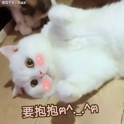 搞笑gif趣图这是谁出的主意,新娘表情说明了一切