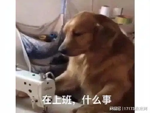 英雄联盟人气主播入狱,踩缝纫机两年半,出来后胸变大了引热议