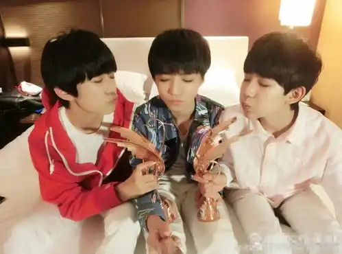 tfboys拥有最强大的粉丝团,这44种粉丝属性你能分清吗