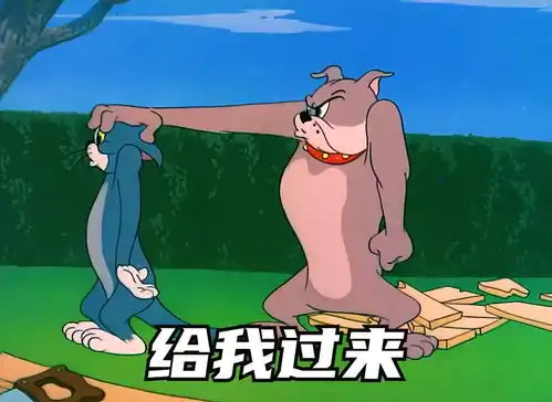 聊天的时候发给发嗯哦的朋友们表情包搞笑视频情侣经典段子猫和老鼠