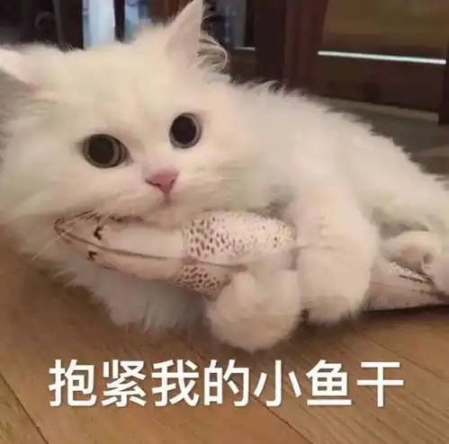 醉鬼在南京西路开车胡来,还好这次队友给力