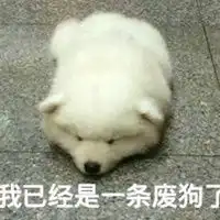 肌肉狗与小废狗表情包