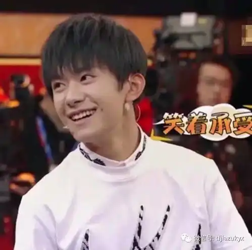 tfboys经典实用表情包5
