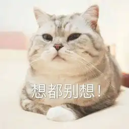 超萌猫咪图片大全可爱带字2018最新争气永远比生气聪明
