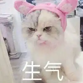 留学生这些让人气不打一出来的问题,能别再问了吗