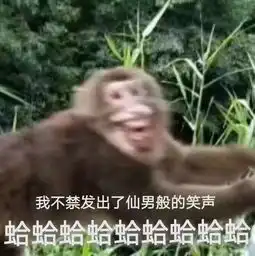 美女喂食猴子反遭调戏,看操作,不得不说这猴子前途无量