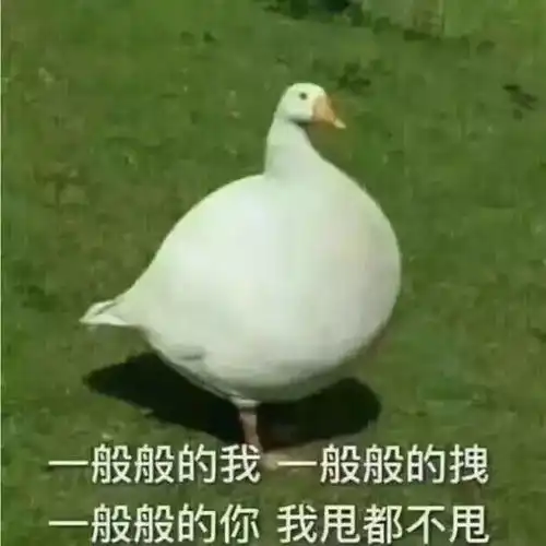 这个孤独的8岁男孩火了一人吃火锅,四个位置轮流坐两个字社会