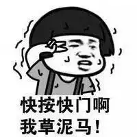 拍照表情包