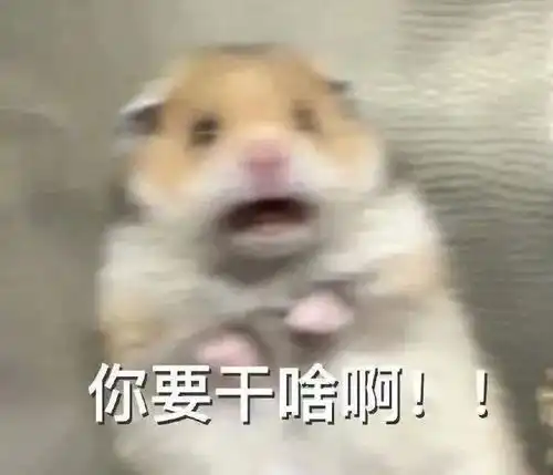 抖音里小仓鼠被惊吓到的动态表情包哪个朋友有啊,好想要