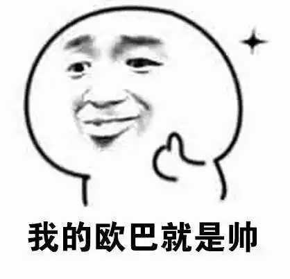 看到爱豆的你表情包